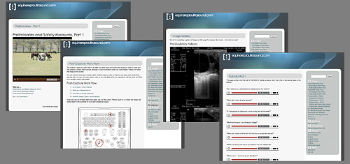 Equine Ultrasound Training Site